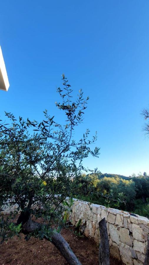 Sweet Home Himara ภายนอก รูปภาพ
